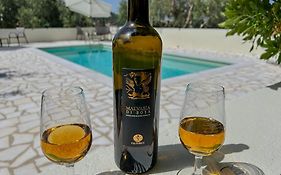 Le Case Nel Vitigno - Modolo